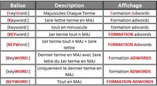Balise Keywords et rendu des mots clés