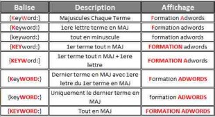 Balise Keywords et rendu des mots clés