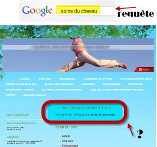 Page de destination avec erreur