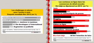 intentions-ecommerce-monde-2013