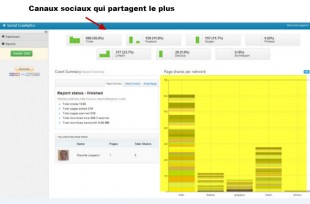 Les partages par réseaux sociaux dans SocialCrawlytics