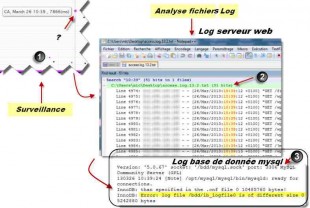 analyse logs serveur