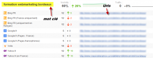 audit positions seo