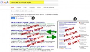 serp organique