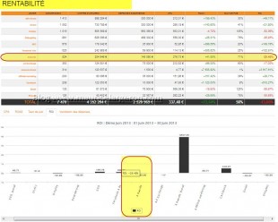 adwords rentabilite