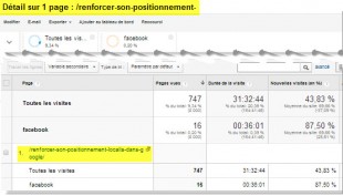 Page dans rapport personnalisé + 1 segment 