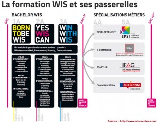 Cursus et tremplins métiers