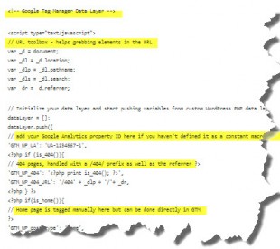 Extrait du code d'un Datalayer pour WP