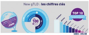 Chiffres clés des dépots de Gtlds selon Ovh