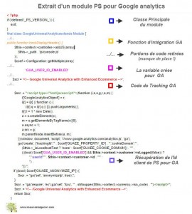 Extrait du module d'intégration du script GA