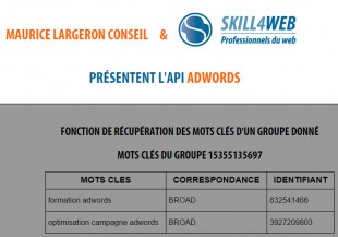 Affichage page web commande api adwords