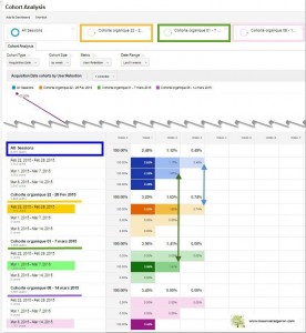 Segmentation cohortes par trafic organique