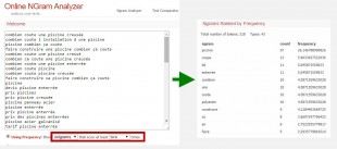 Ngram analyzer