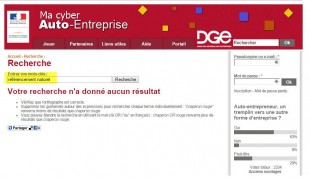 Cyber entreprise et seo