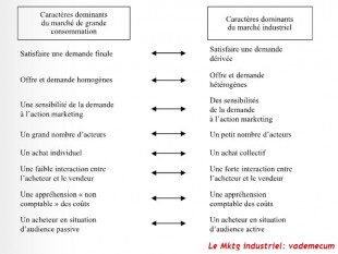 Problematique du marketiing industriel 