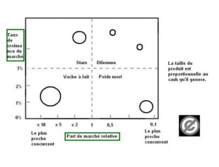 Matrice Stratégique BCG