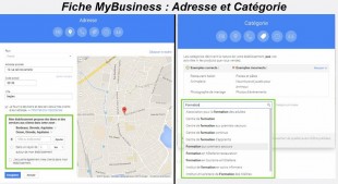 Adresse et Cat. mybusiness