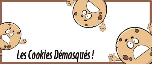 Les Cookies Démasqués !