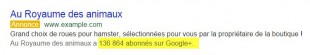 Relais de Google+ dans Liens sponsorisés