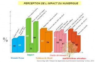 Perception des performances du digital