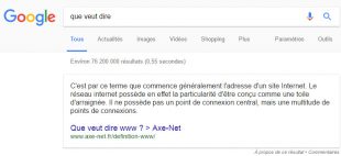 Bien joué la serp sur le mot clé "que veut dire"