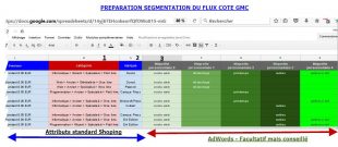 Flux final et segmentation pour gmc et adwordx