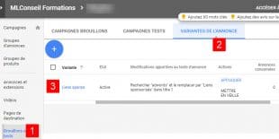 Variantes d'annonces bien pratique pour de l'AB testing 