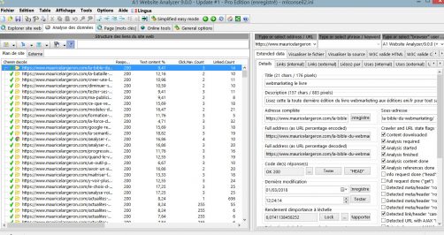 Vue de l'interface Website Analyzer