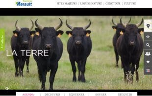 Herault tourisme et plan marketing