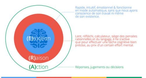 Emotion Raison Action