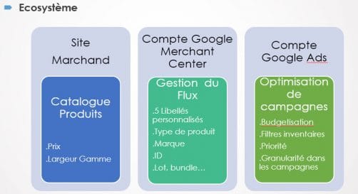 Ecosysteme google shopping