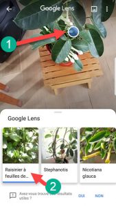 Google lens sur android