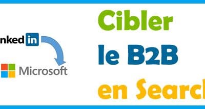 Ciblage LinkedIn dans Bing ads (ex microsoft advertising)