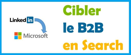 Ciblage LinkedIn dans Bing ads (ex microsoft advertising)