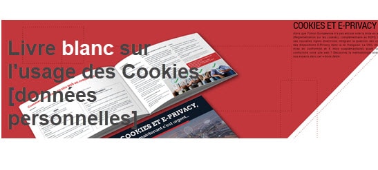 Un livre blanc sur les Cookies et les données personnelles