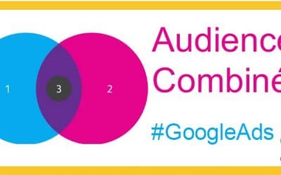 Audiences Combinées Sur la Recherche dans Google Ads