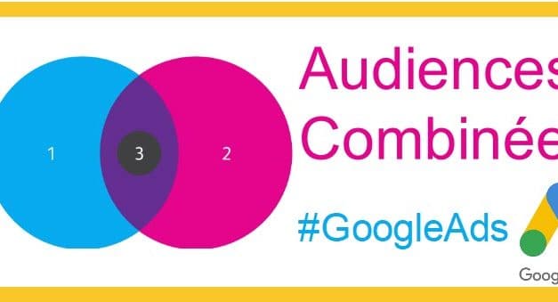 Audiences Combinées Sur la Recherche dans Google Ads