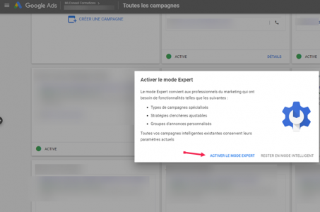 faut il activer le mode expert google ads ?