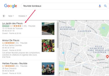 Annonces sur Google maps