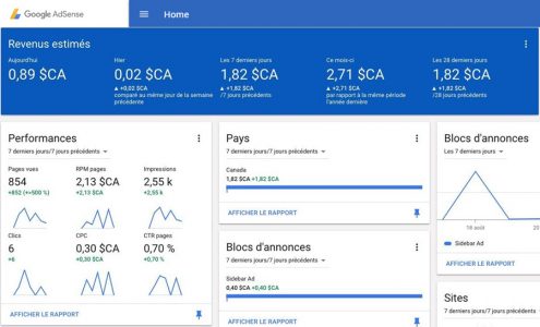 Google Adsense pour Monétiser le traffic d'un site Web