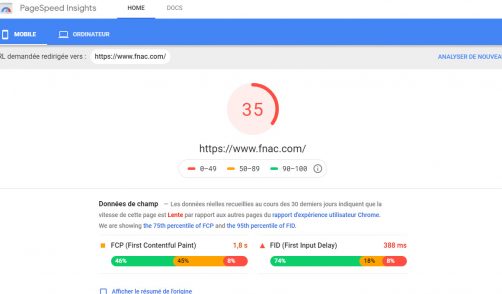 Page SPeed pour mesurer les performances d'affichage des pages 