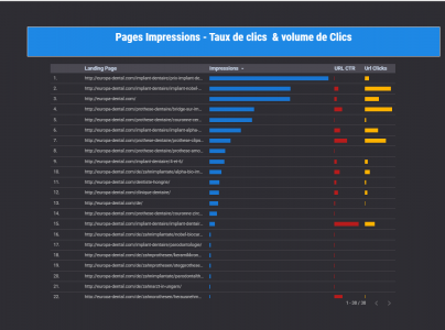 Raprésentation graphique des urls search console