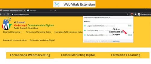 WEB VITALS CHROME EXTENSION 