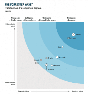 Canvas forrester analytics