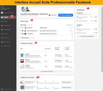 Accueil suite professionnelle facebook