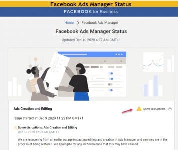 Facebook ads manager status