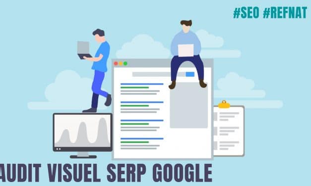 Audit Seo visuel Serp Google