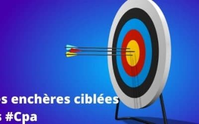 Enchères Google ads cibles Cpa Et Roas