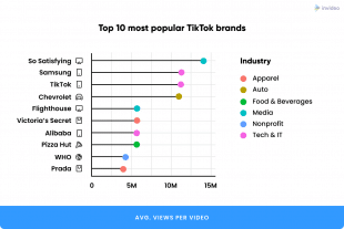 TOP 10 DES MARQUES CONNUES SUR TIKTOK