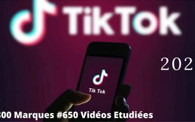 Enquête Tiktok 2021 par Invideo